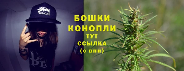 крисы Вязники