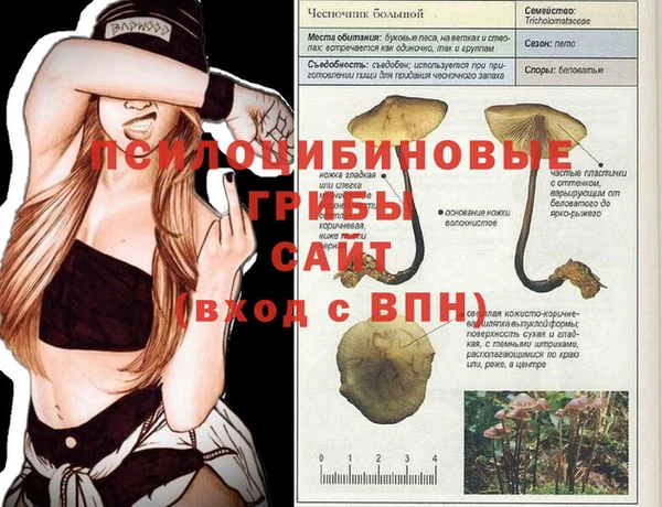 крисы Вязники