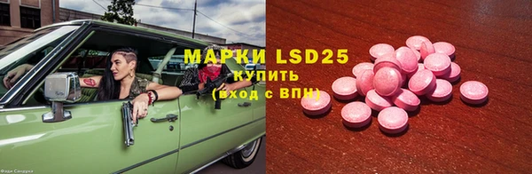 сатива Вязьма