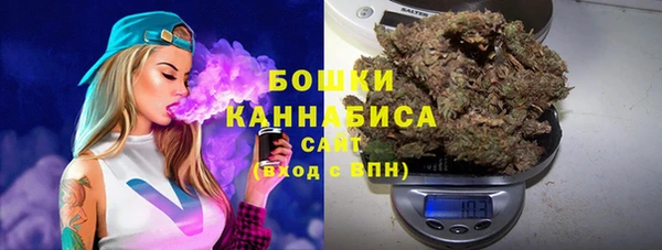 ALPHA-PVP Вяземский
